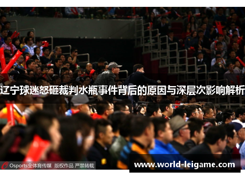 辽宁球迷怒砸裁判水瓶事件背后的原因与深层次影响解析