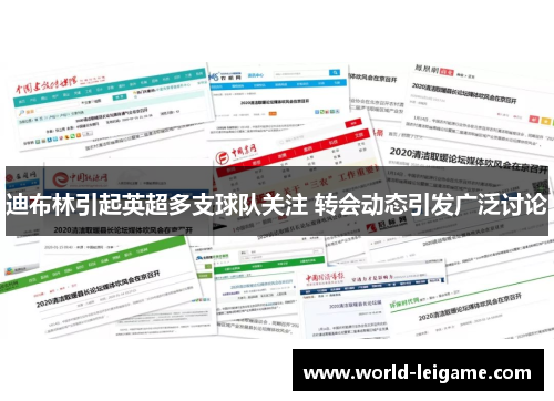 迪布林引起英超多支球队关注 转会动态引发广泛讨论