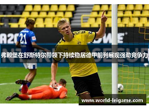 弗赖堡在舒斯特尔带领下持续稳居德甲前列展现强劲竞争力 弗赖堡在舒斯特尔带领下持续稳居德甲前列展现强劲竞争力