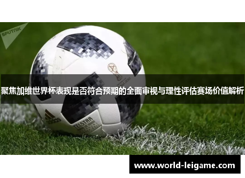 聚焦加维世界杯表现是否符合预期的全面审视与理性评估赛场价值解析
