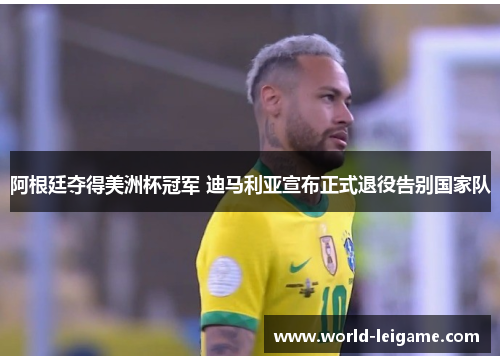 阿根廷夺得美洲杯冠军 迪马利亚宣布正式退役告别国家队