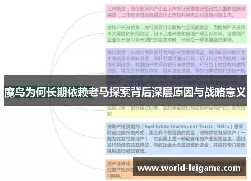 魔鸟为何长期依赖老马探索背后深层原因与战略意义